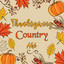 Thanksgiving Country Hits cover