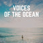 Voices of the Ocean cover