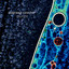 Daylight cover
