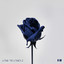 Loved cover