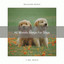 All Woods Songs For Dogs cover