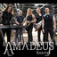Amadeus Band cover