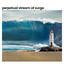 Perpetual Stream of Surge cover