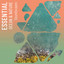 Essential Ocean & Nature Soundscapes cover