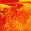 WRG - Canicule 4