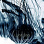 Luna Ciao cover