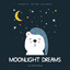 Moonlight Dreams