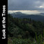 Look At the Trees cover