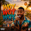 DJ KR1S - WOY WOY WOY