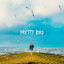 Pretty Bird cover