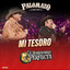 Mi Tesoro (En Vivo) cover
