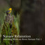 Nature Relaxation: Perching Birds on River Stream Vol. 1 cover