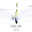 Only One artwork