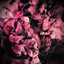 Consume - Emoliente