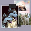 Fabulous Music for Dog Grooming - Bolero cover
