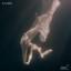 Drift - Kasbo
