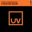 Flashes feat. Sealine - Extended Mix