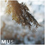 Muse cover
