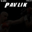Pavlik artwork