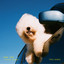 楓 cover