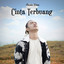 Cinta Terbuang cover