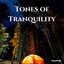 Sleep Music: Tones of Tranquility cover