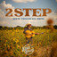 2 Step Your Troubles Away cover