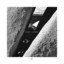 Niklas Paschburg; Bryan Senti - Jungle