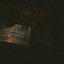 El Bosque cover
