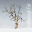 Scarborough Fair - Dnb