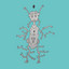 insectos & parásitos cover