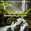 Sonidos De Arroyos: Visualización De La Fauna Del Bosque cover