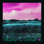 Virtual