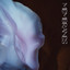 Charlotte Greve - Membranes
