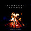 Tandoori Flame New Ad - REV 01