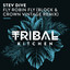 Fly Robin Fly - Block & Crown Vintage Extended Remix