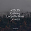 #25 25 Calming Loopable Rain Sounds cover