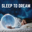 Sleep to Dream cover