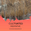 Cultivated Meditative Ocean Radiance cover