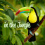 Tropical Birds in the Jungle: Relaxing Nature Sounds & Wildlife Rainforest cover