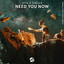 Need You Now - Extended Mix