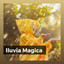 Lluvia Magica cover