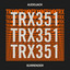Surrender - Extended Mix