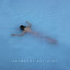 Anywhere But Here cover