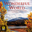 Wonderful World cover