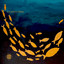 Canavezzi — Fall (Original Mix) cover art
