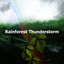 Rainforest Thunderstorm cover