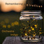 Orchestra Indigo - Remembering Fireflies