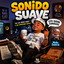 Sonido Suave Domingo del Recuerdo (Promo) - Copy (2)