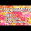 Yellow Teeth